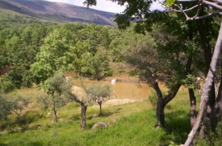  Enjoy nature 